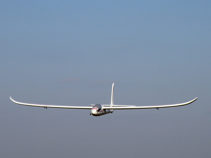 Easy Glider Pro