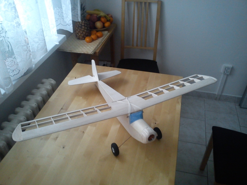 RCM 1/2A Basic Trainer