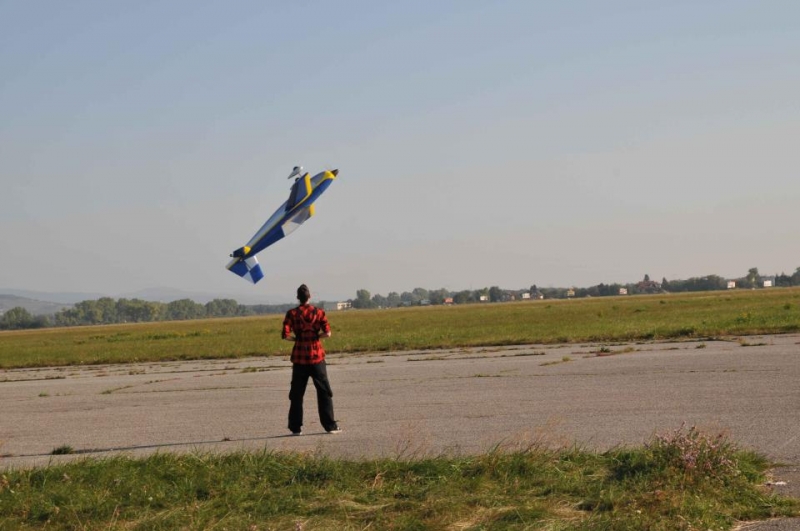 Edge 540T Extreme Flight RC 88