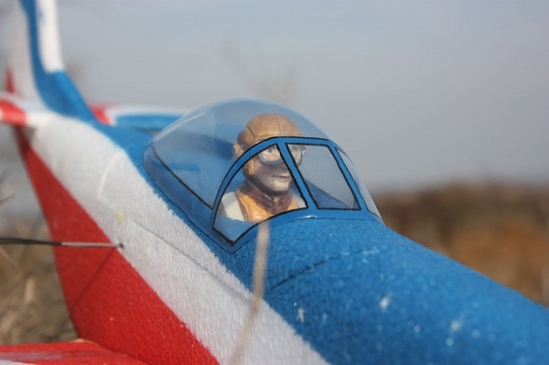 P-51D Mustang - R.I.P.