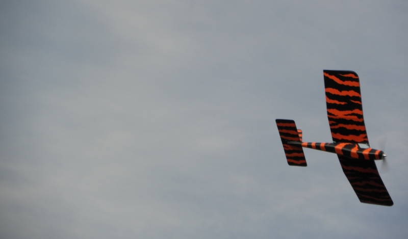 DANDY - rodina 3 modelů