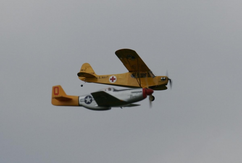 Piper NE-1  - malej
