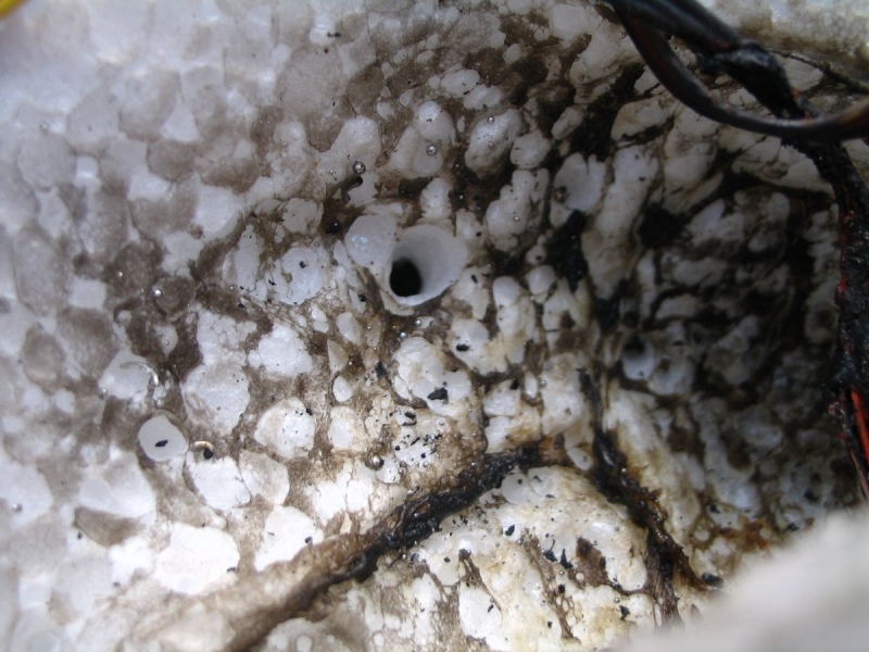 TORO 900 - vyhořelé