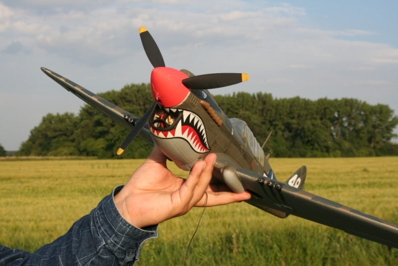 P-40 WARHAWK