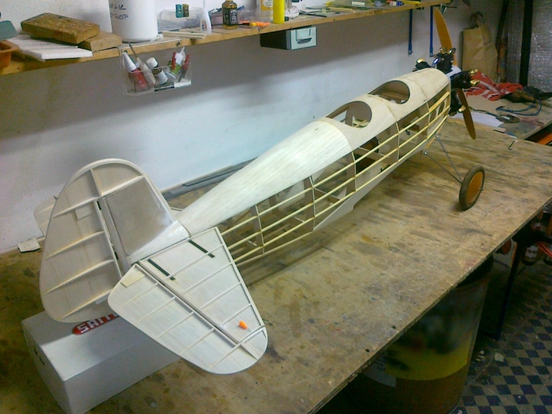 Fieseler Tigerschwalbe