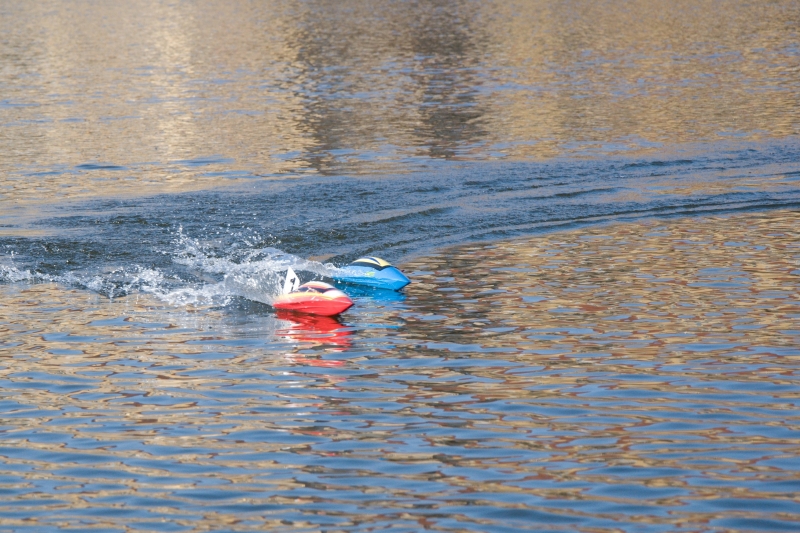 Blecha (Flea, Mini Eco Standard)