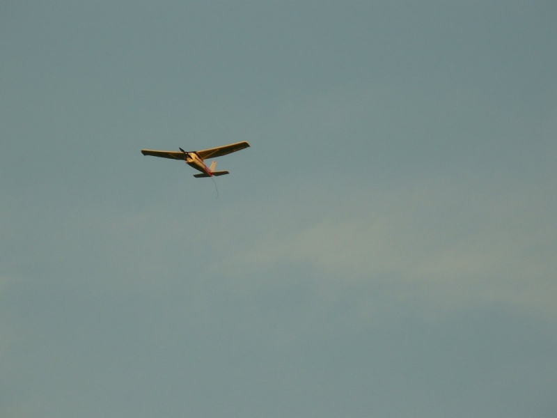 Cessna 480 Pelikán