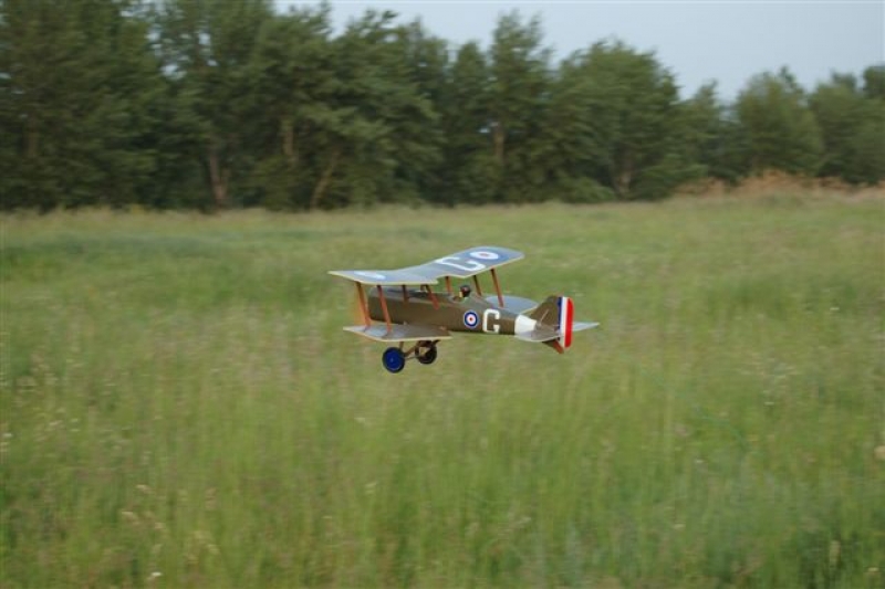 SE5a - PREDANÉ
