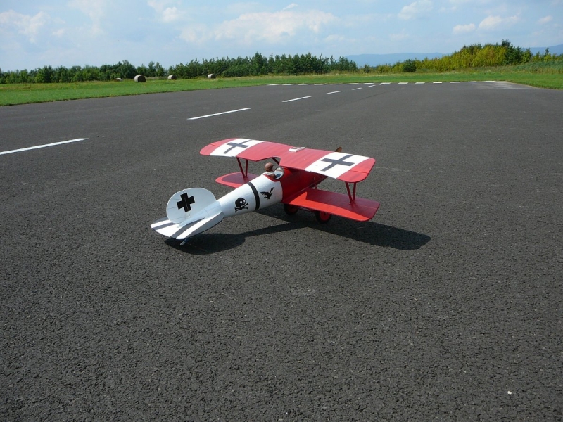 Albatros D V