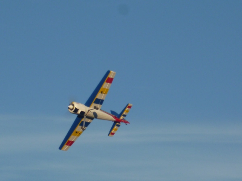 YAK 54