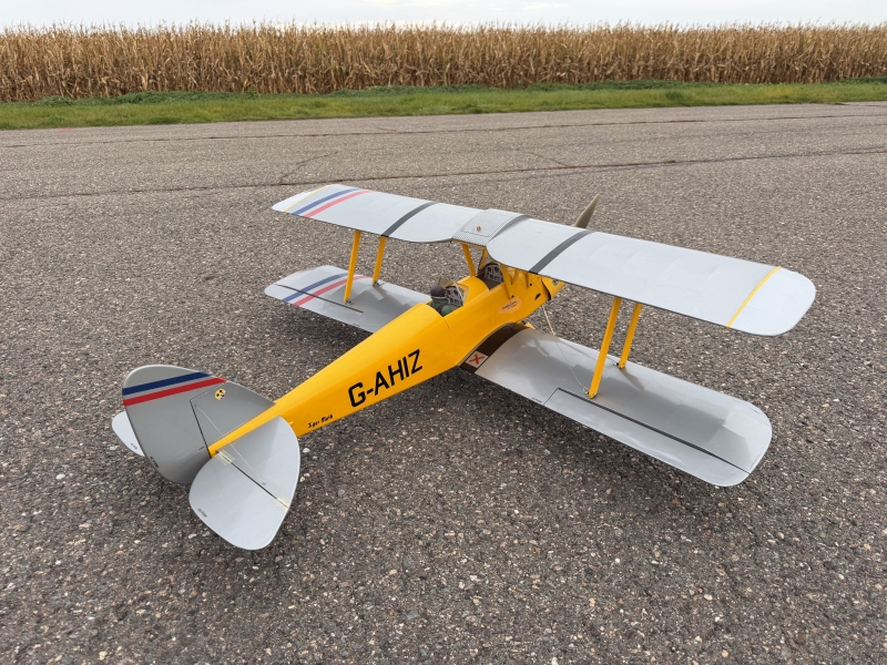 Tiger Moth