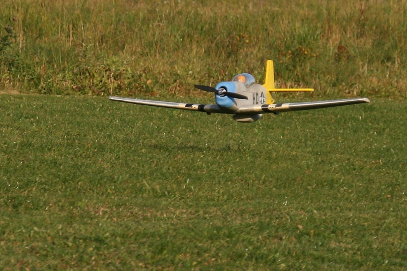 Mustang P51d EPA1200
