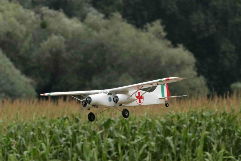 Caproni Ca133