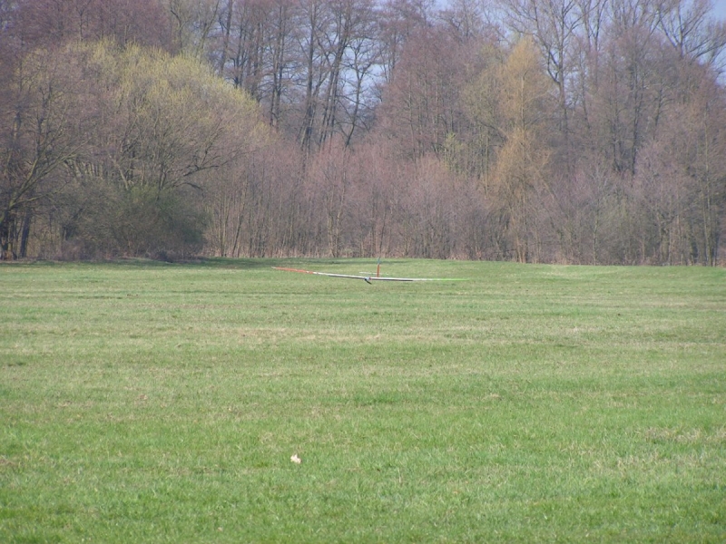 Eagle elektro X-tail