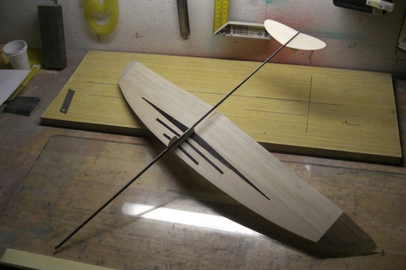 F1N Damir Kosir No.29 M