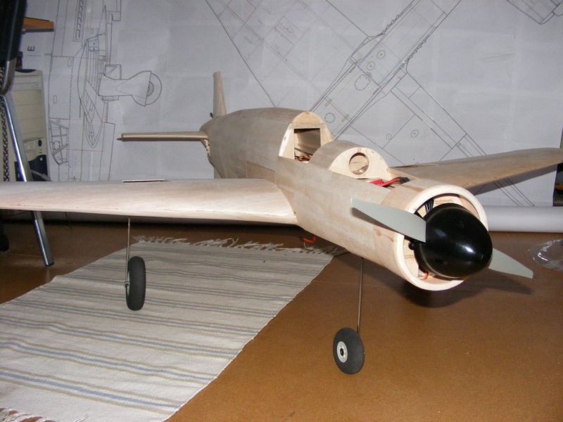 Dornier Do-335 (1:9)