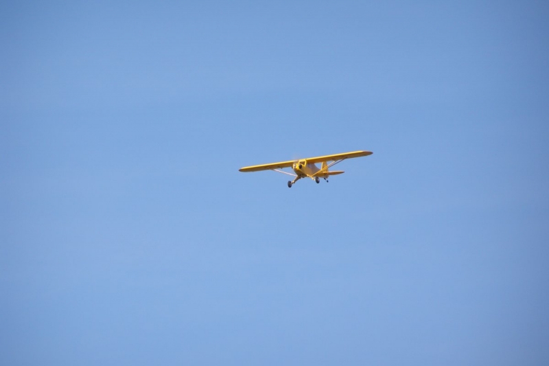 Piper  Cub