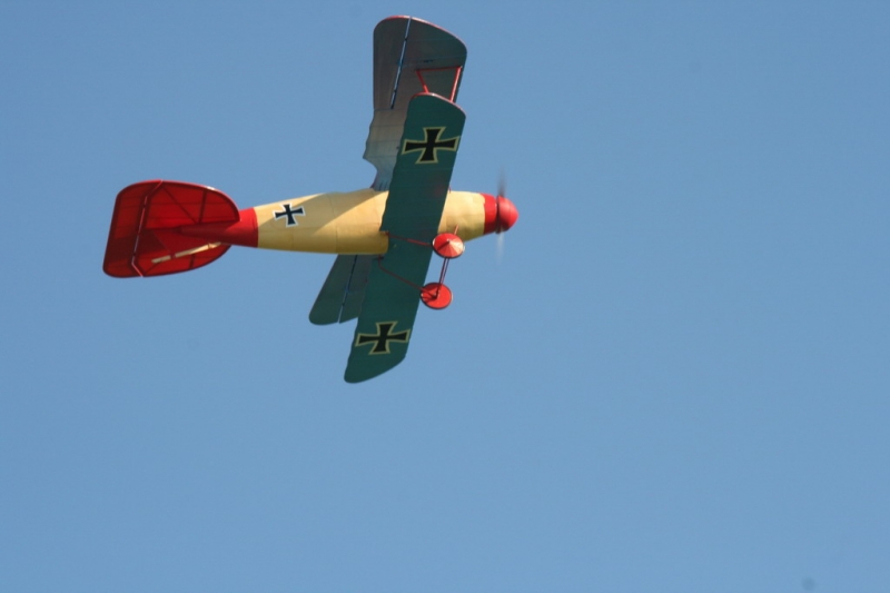 Albatros DVa