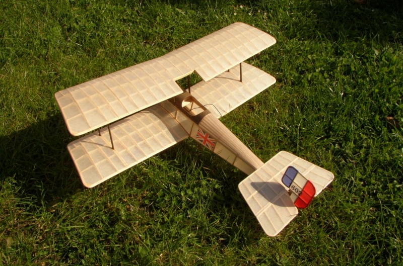 Bristol scout