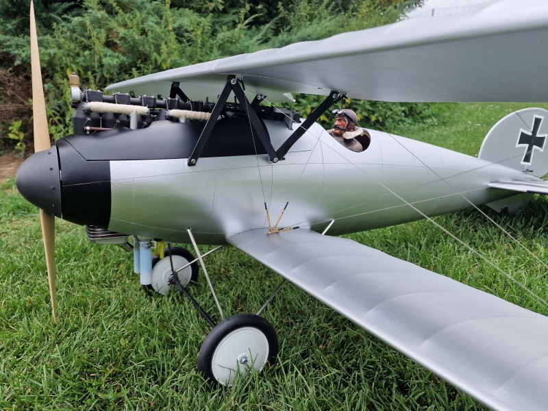 Albatros DV