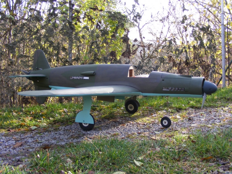 Dornier Do-335 (1:9)