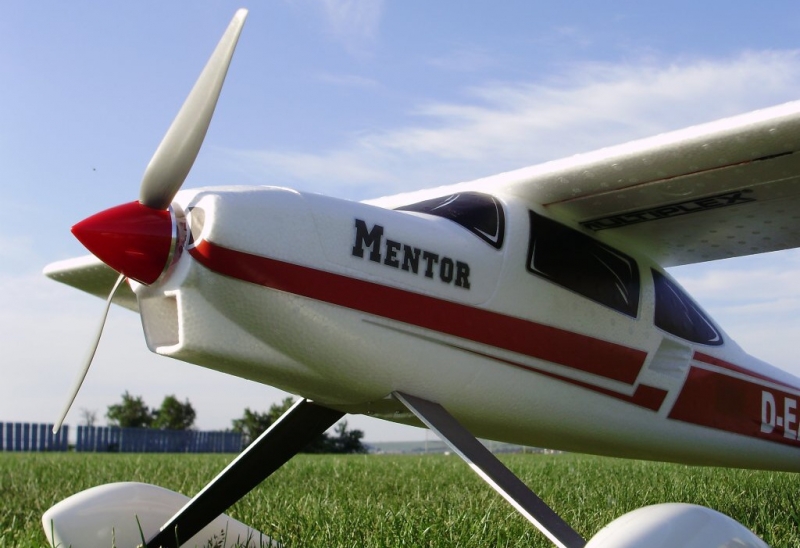 Mentor