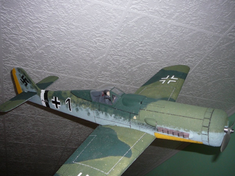 FW - 190 Dora