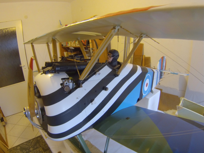 Sopwith Camel - Coombes colour scheme
