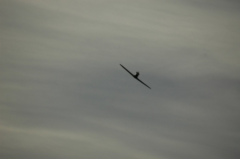 Messerschmitt Bf-109 k