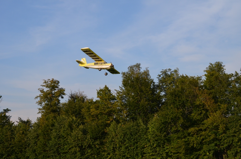 Bellanca Decathlon