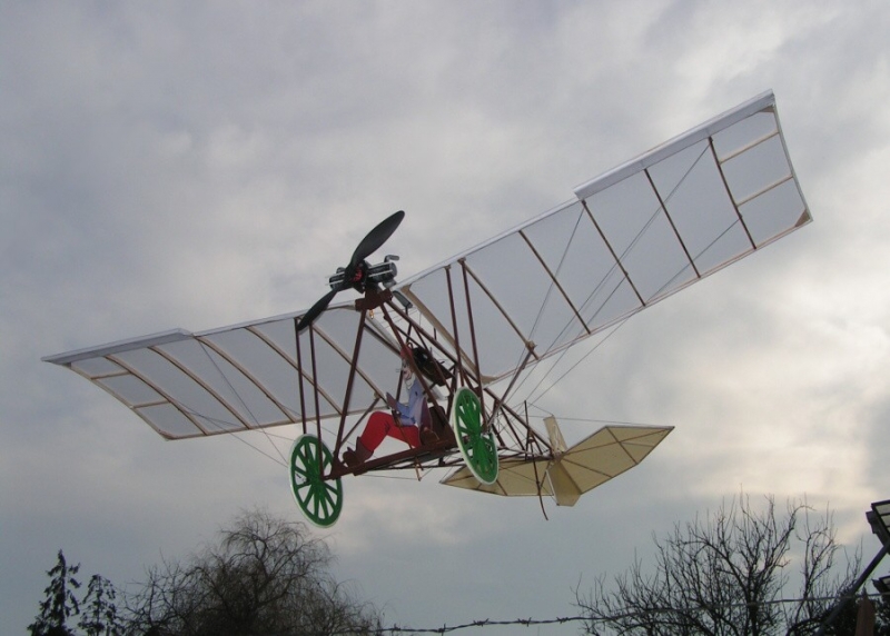 Demoiselle 1909
