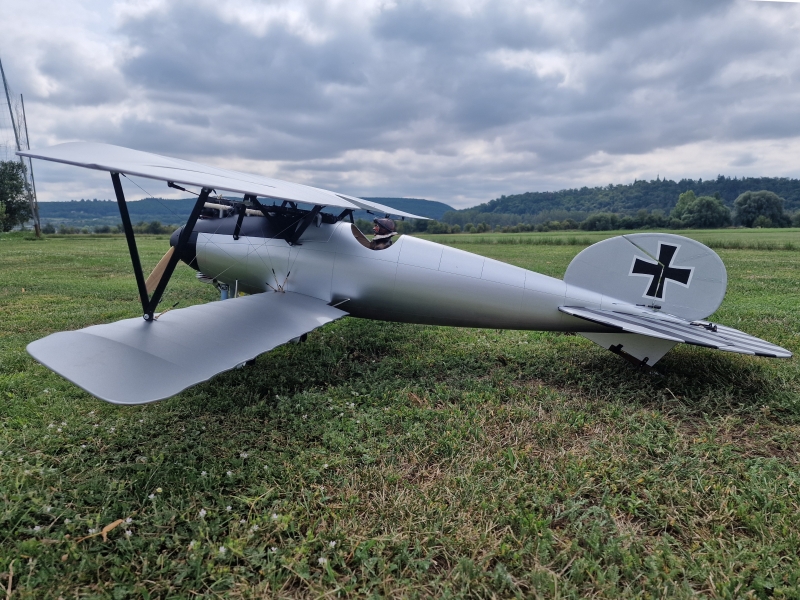 Albatros DV