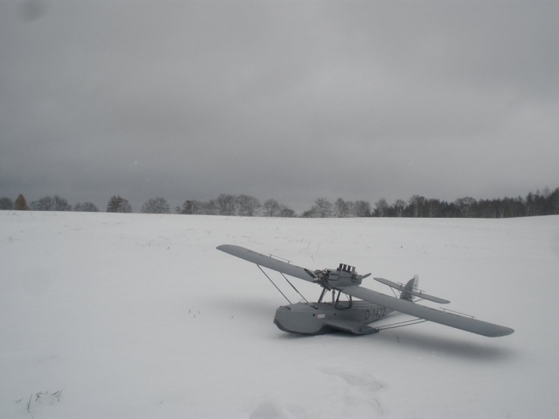 Dornier WAL