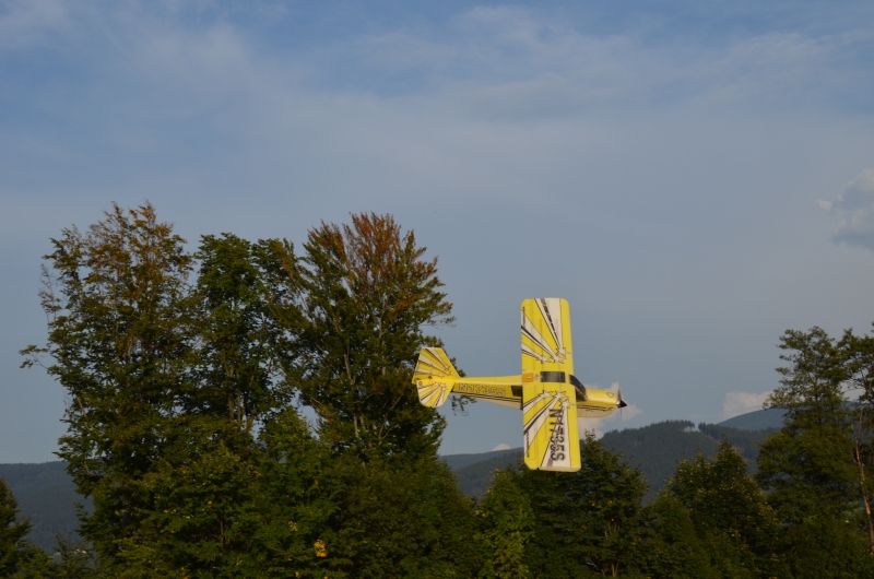Bellanca Decathlon