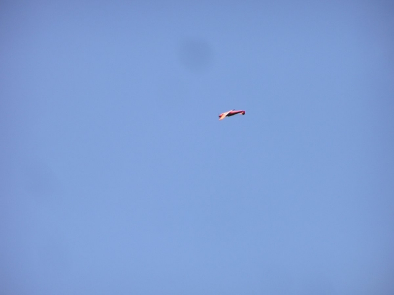 Messerschmitt Bf-109E