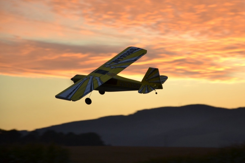Bellanca Decathlon