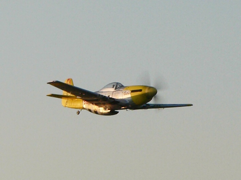 FMS  P-51D Mustang 1440mm