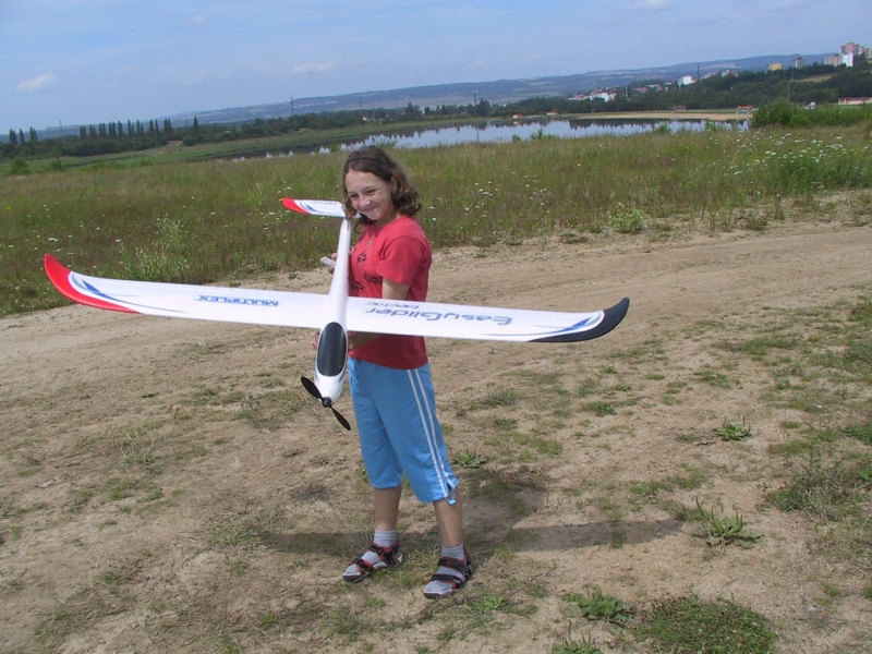 Easy Glider Electric