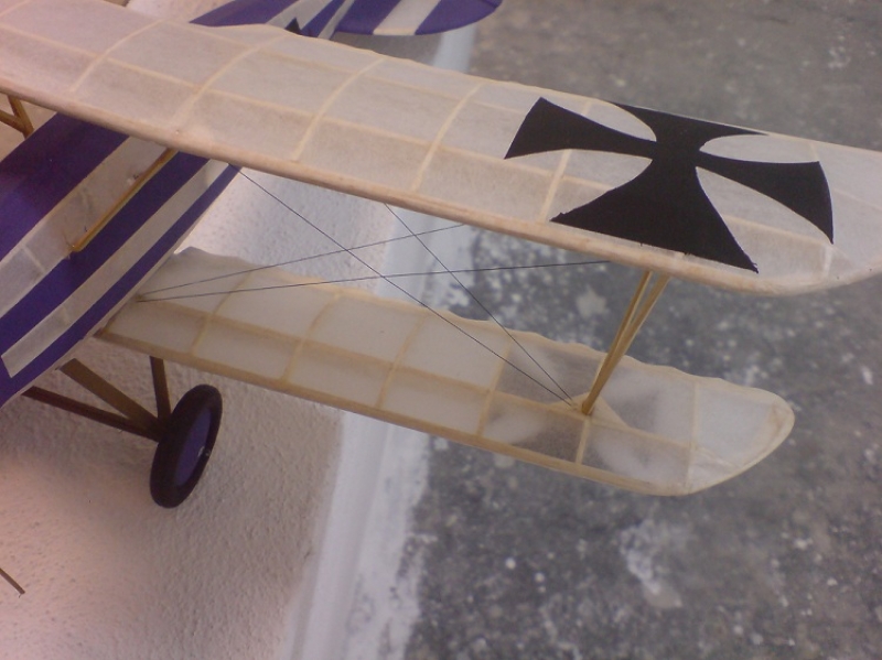 1/20 Albatros D.V.