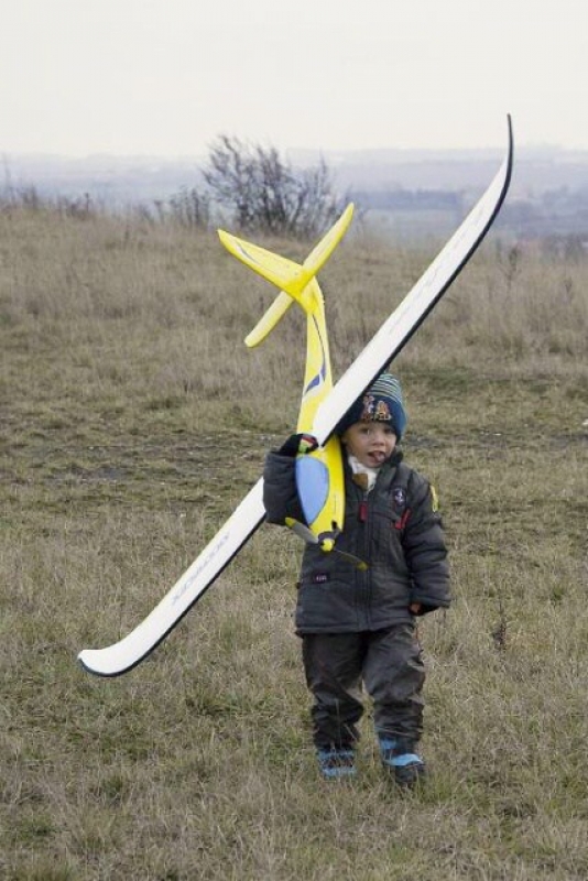 Easy Glider - Multiplex