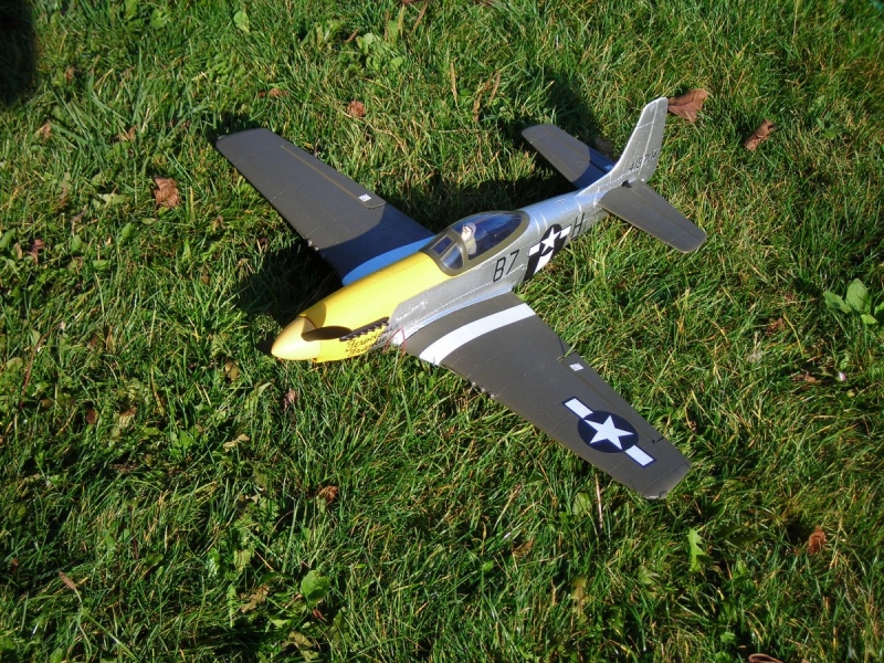 Mustang P-51