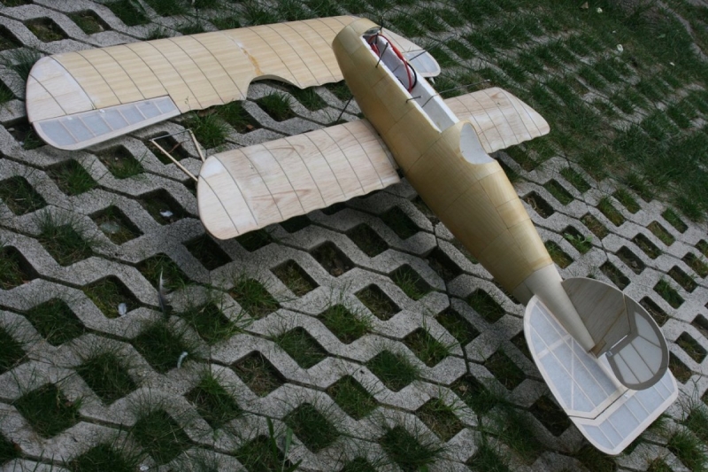 Albatros DVa