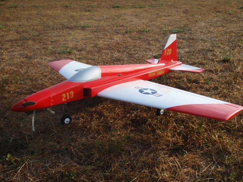 Tiger Shark F-20