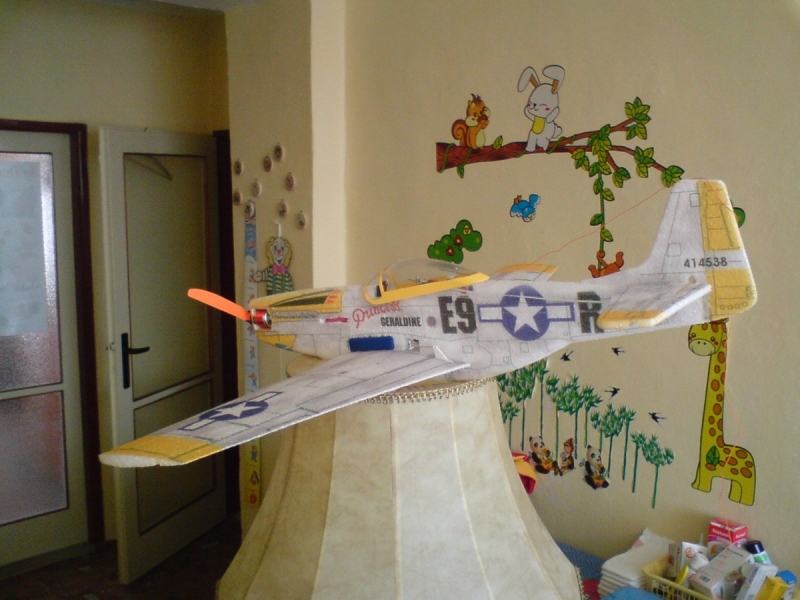 Mustang P-51 prodáno