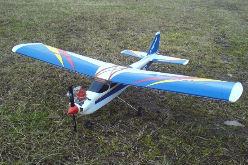 Tiger trainer 40