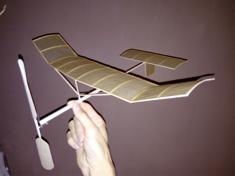 PADESÁTNÍK-halový model