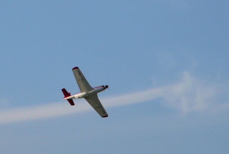 Thunder Mustang