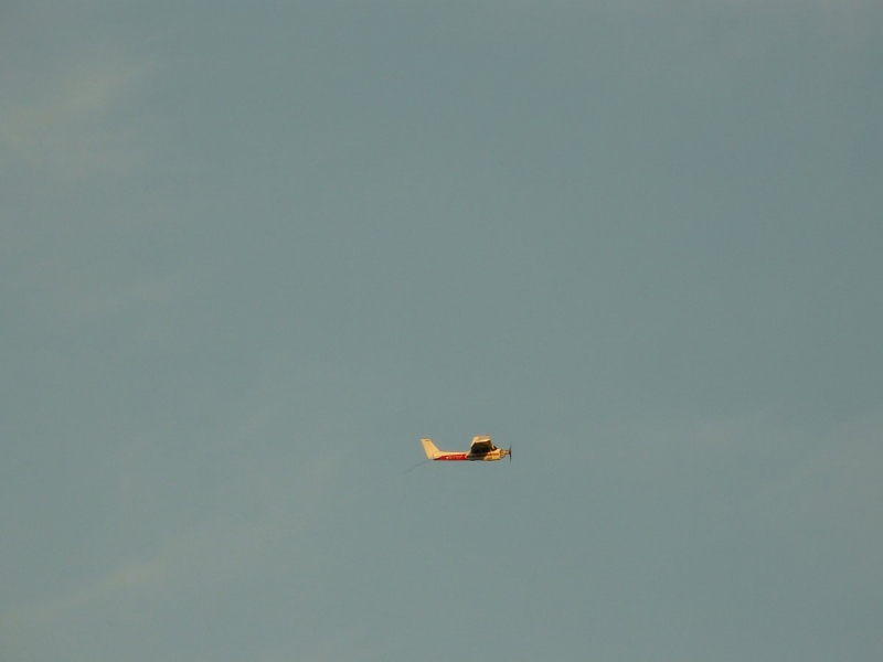 Cessna 480 Pelikán