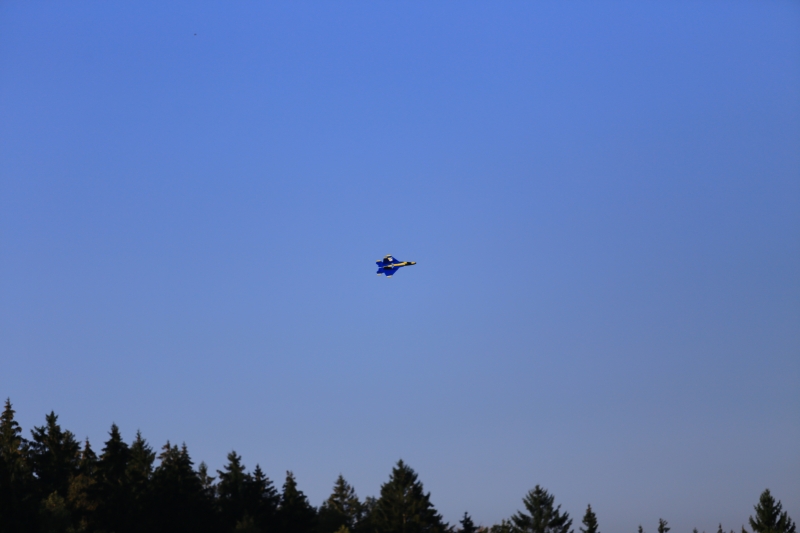 F22 Epp/Depron Parkjet rip