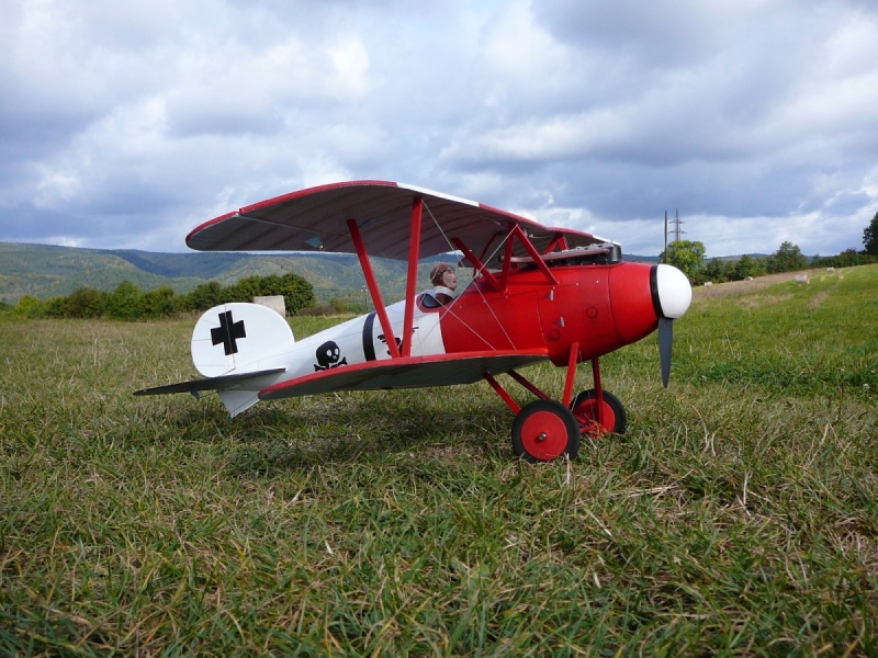 Albatros D V